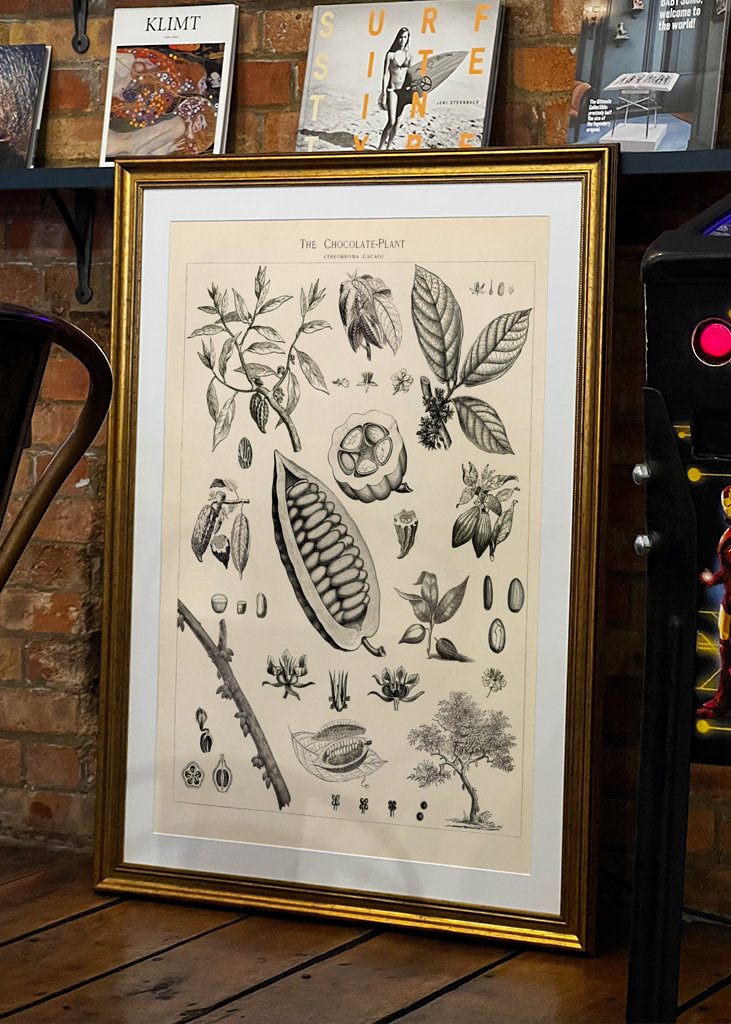 Kakao Vintage Illustration