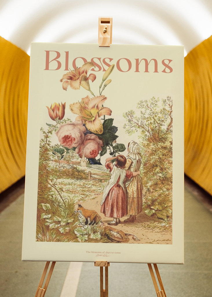Blossoms