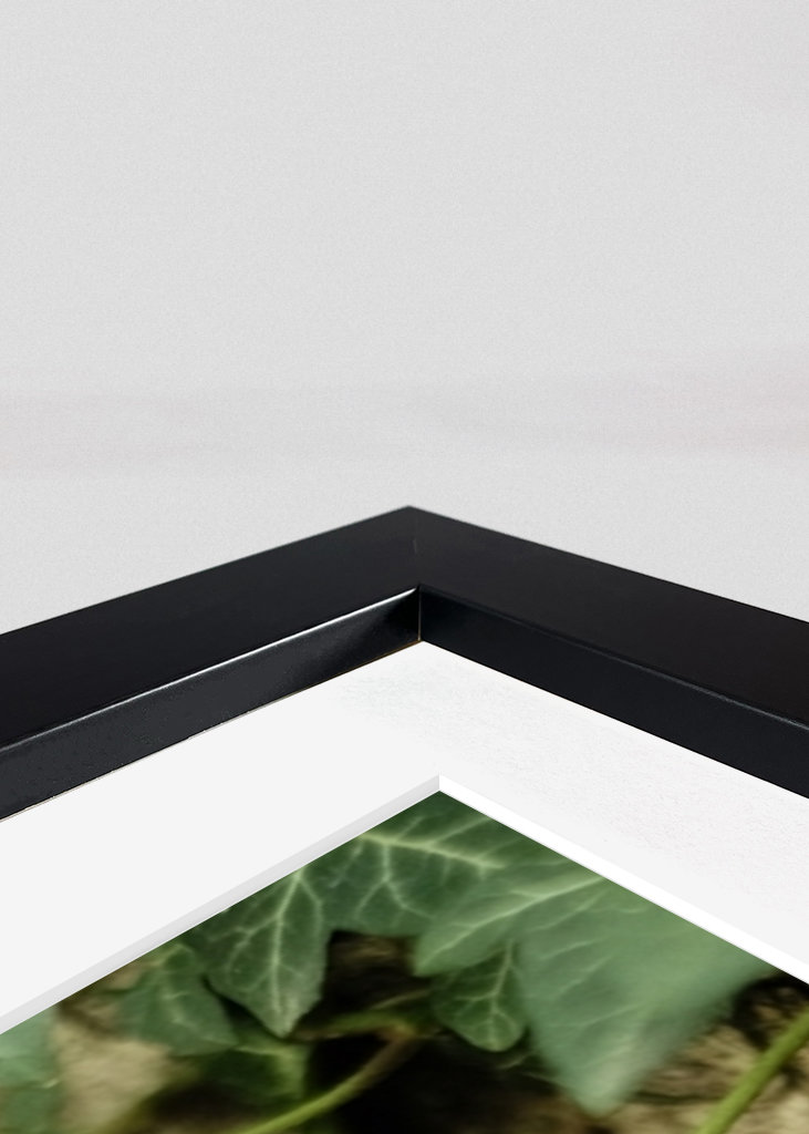 Green Ivy Creeping Up the Tree