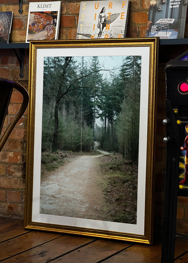 Winter Trail in the Forest