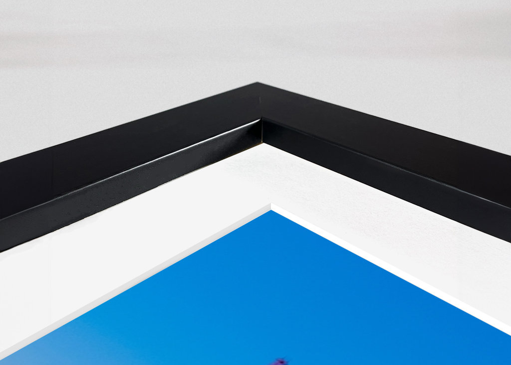 Port of Hamburg in Hamburg