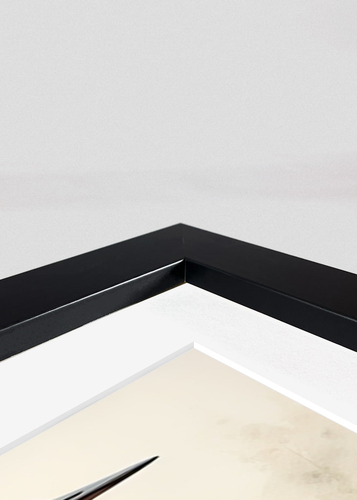 Graceful Crane Watercolor