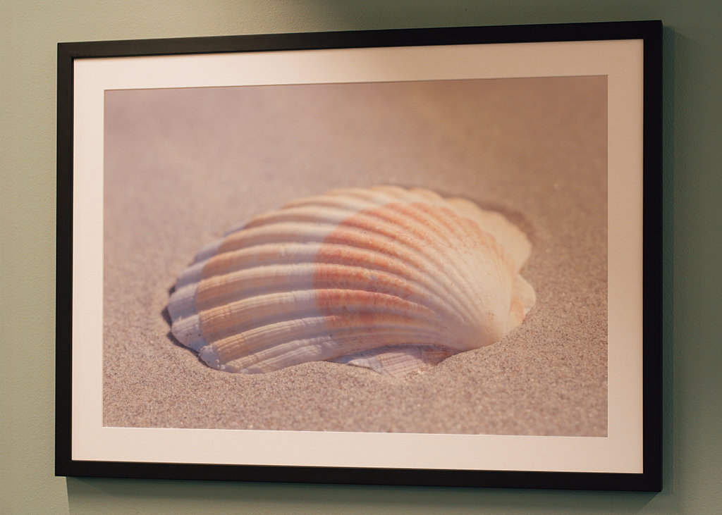 Seashell in the warm sand.