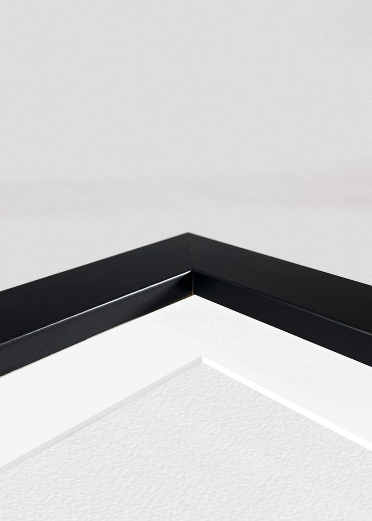 Novak Djokovic Tennis