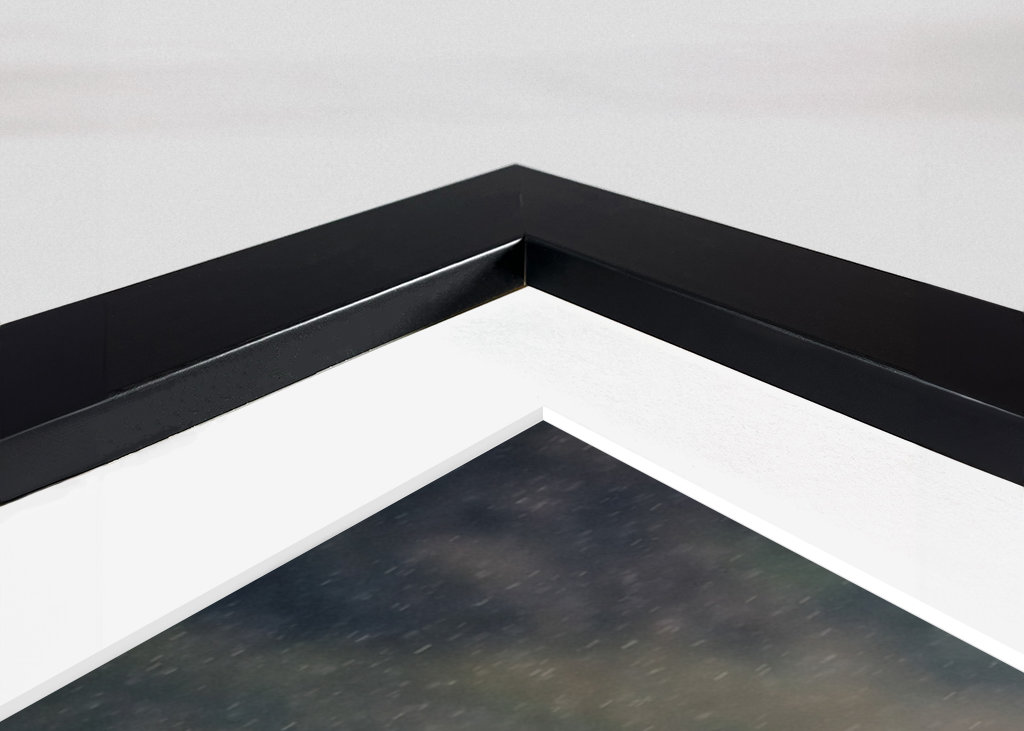 The Roe Deer in the Rain's Dan