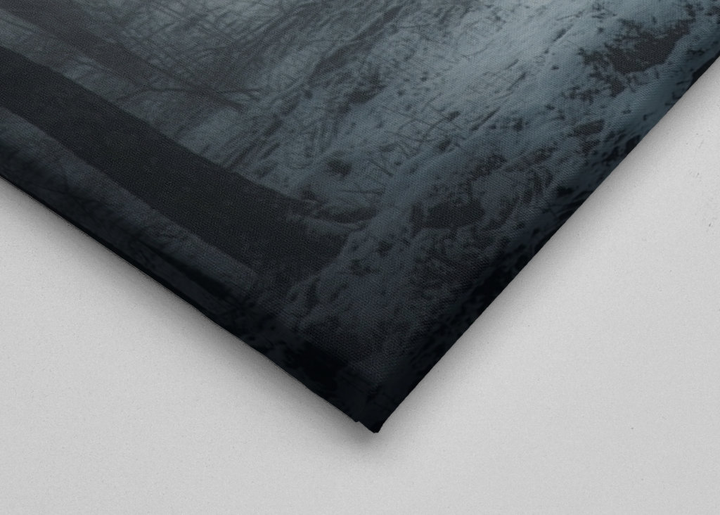 Der mysteriöse Wald