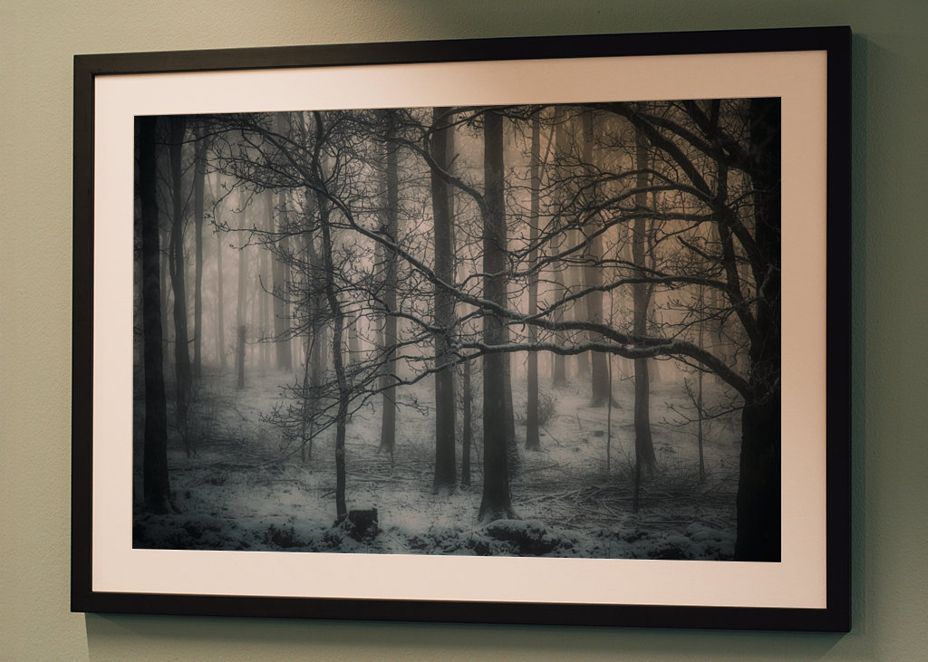 Der mysteriöse Wald