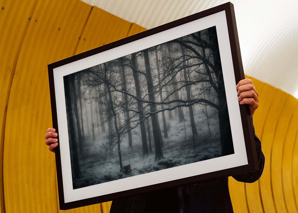 Der mysteriöse Wald