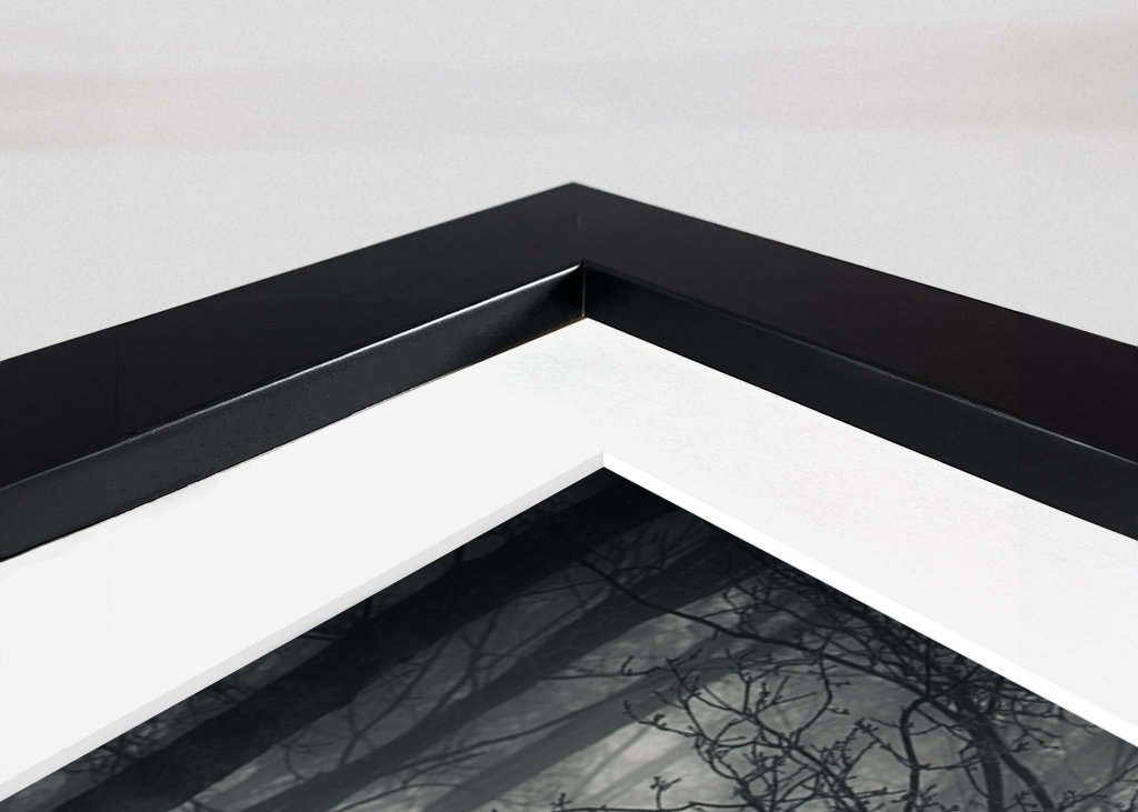 Der mysteriöse Wald