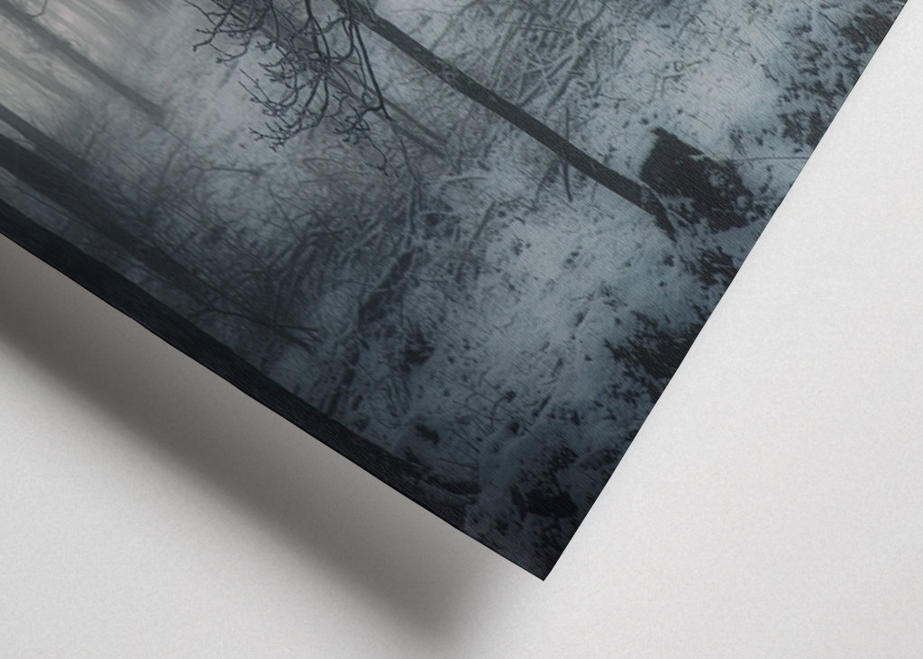 Der mysteriöse Wald