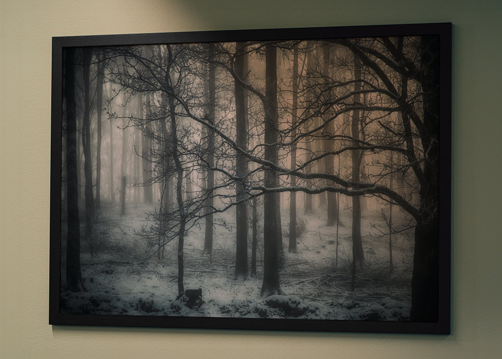 Der mysteriöse Wald