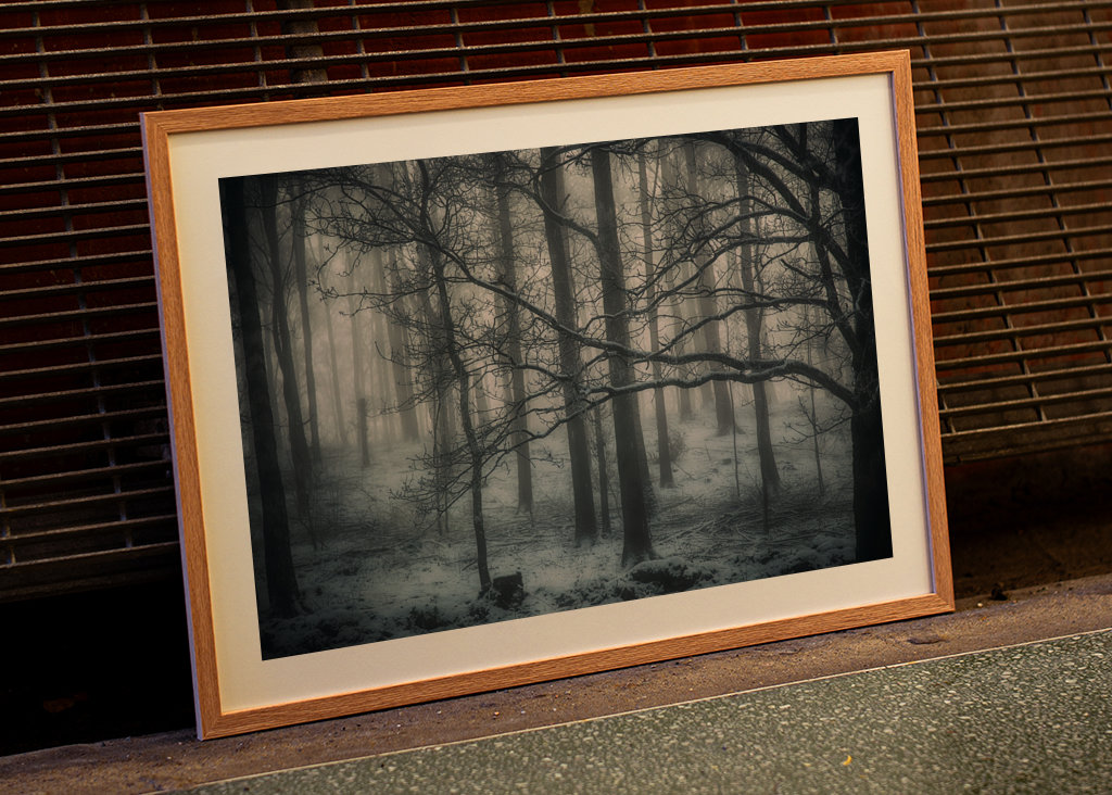 Der mysteriöse Wald