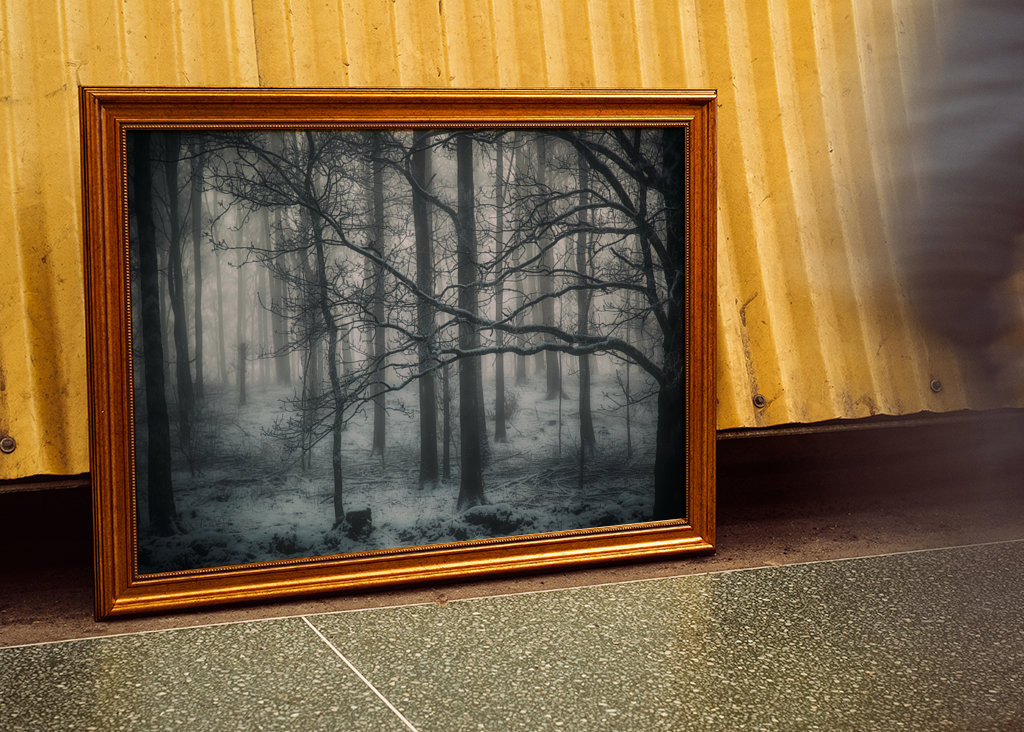 Der mysteriöse Wald