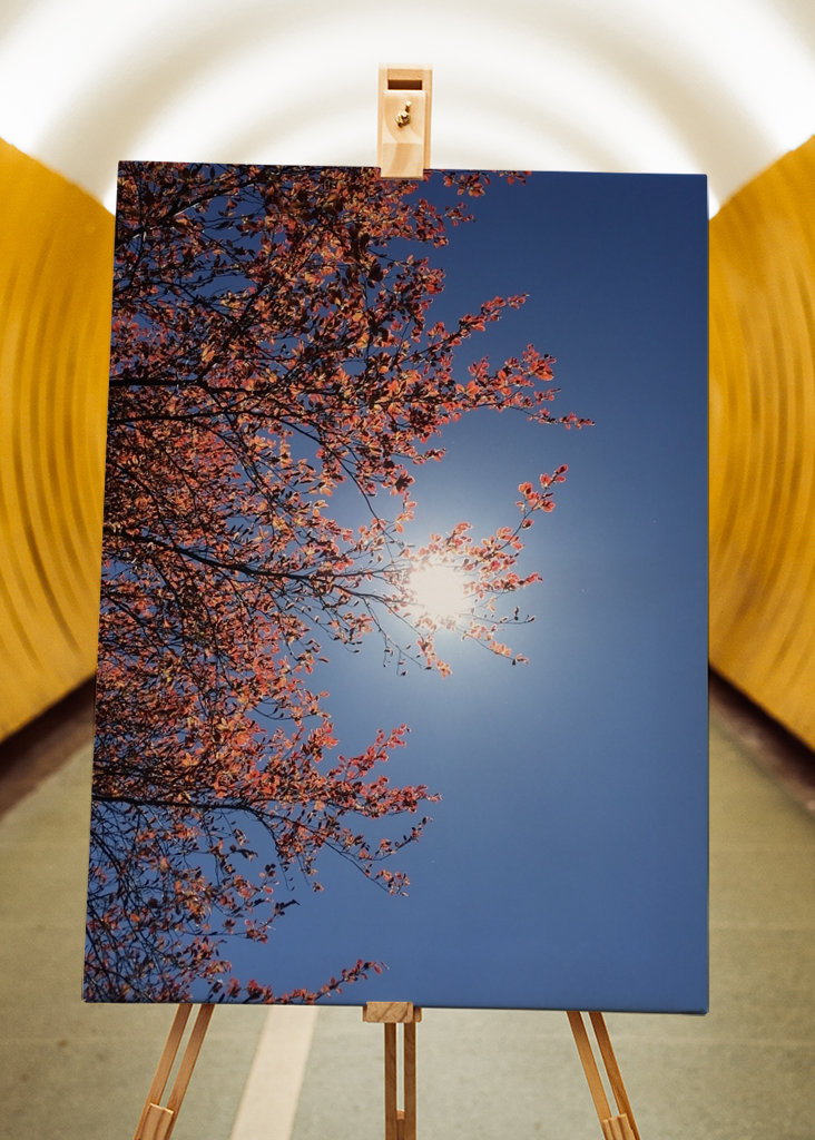 Sensommeren Sky Photography