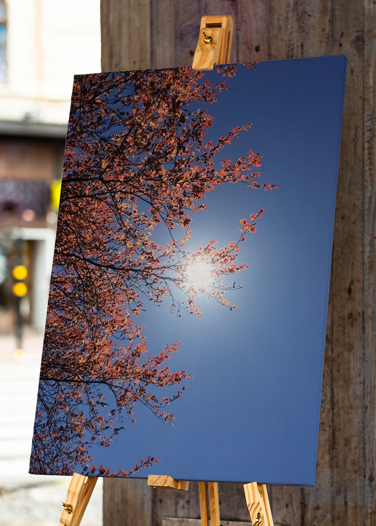 Sensommeren Sky Photography