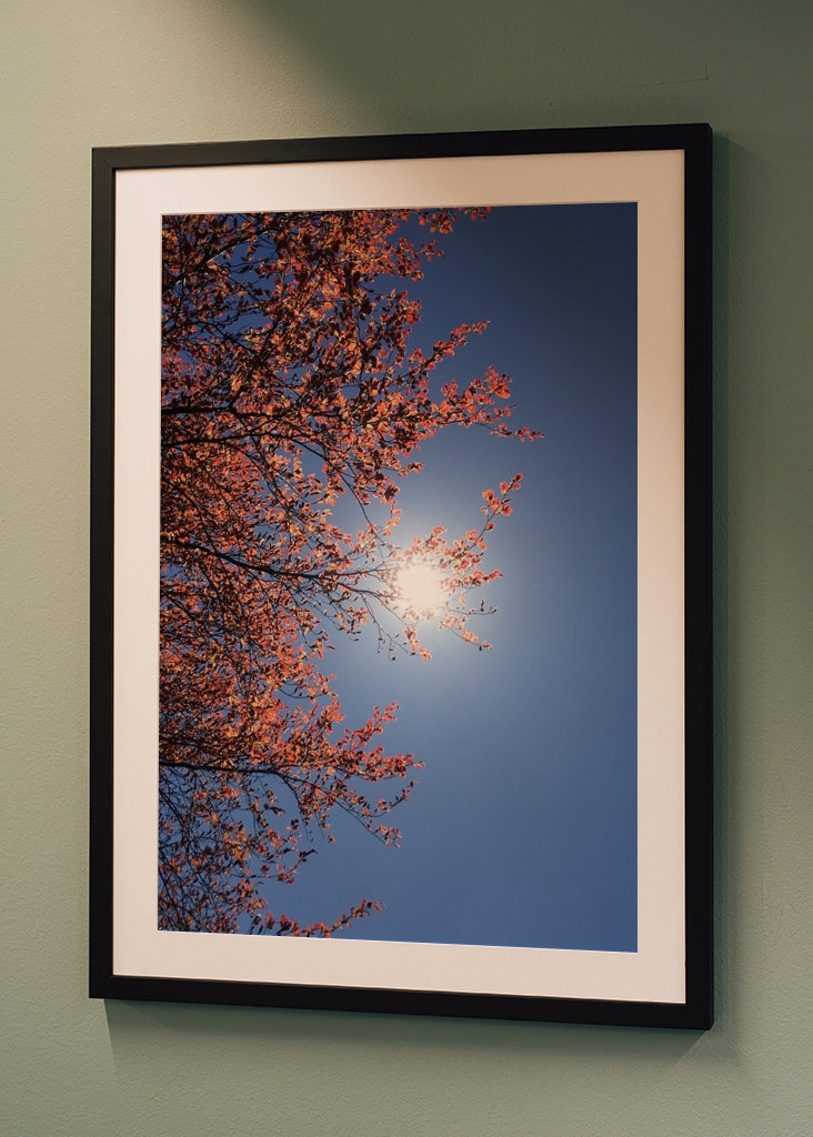 Sensommeren Sky Photography