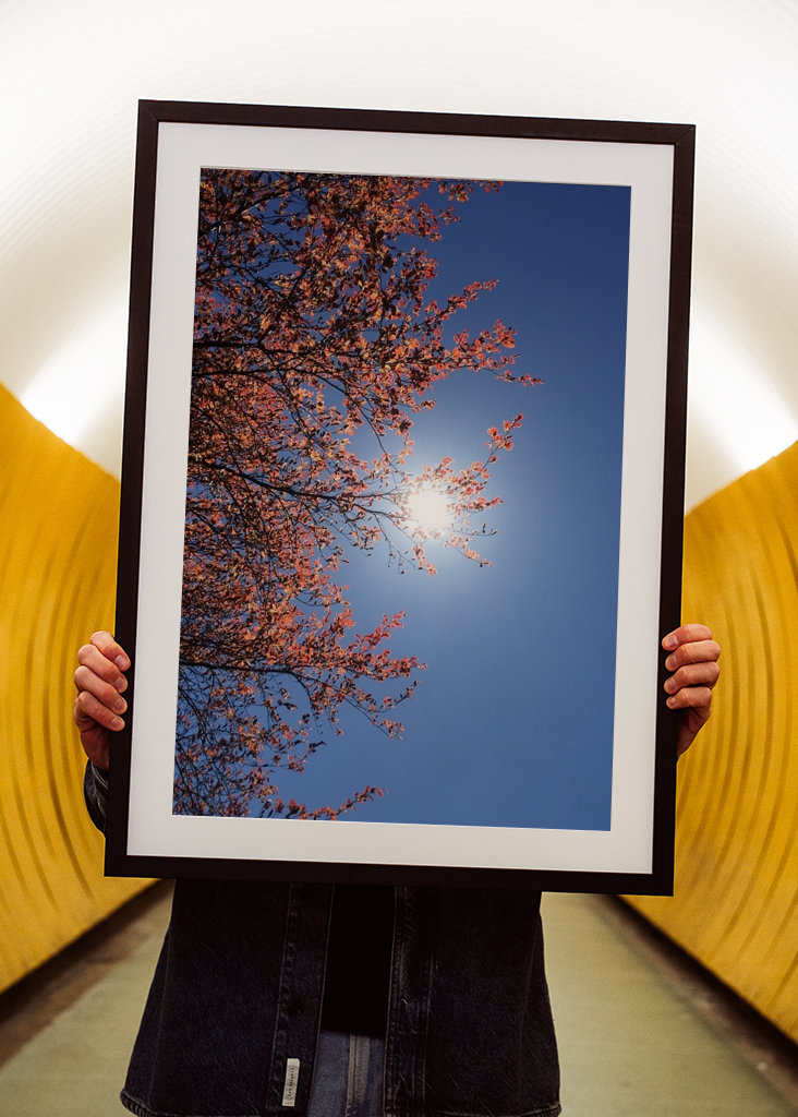 Sensommeren Sky Photography