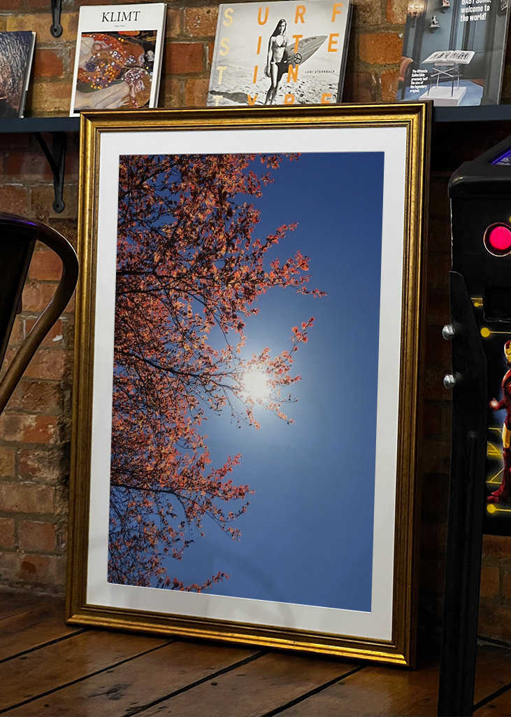 Sensommeren Sky Photography