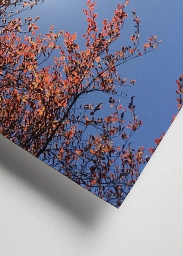 Sensommeren Sky Photography