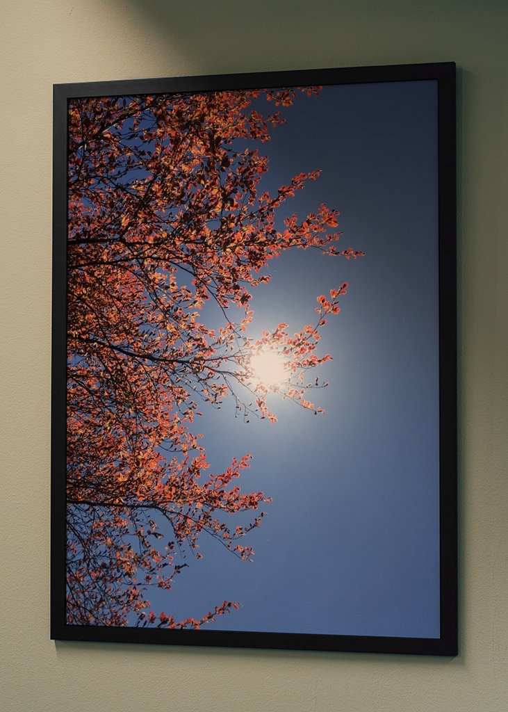 Sensommeren Sky Photography