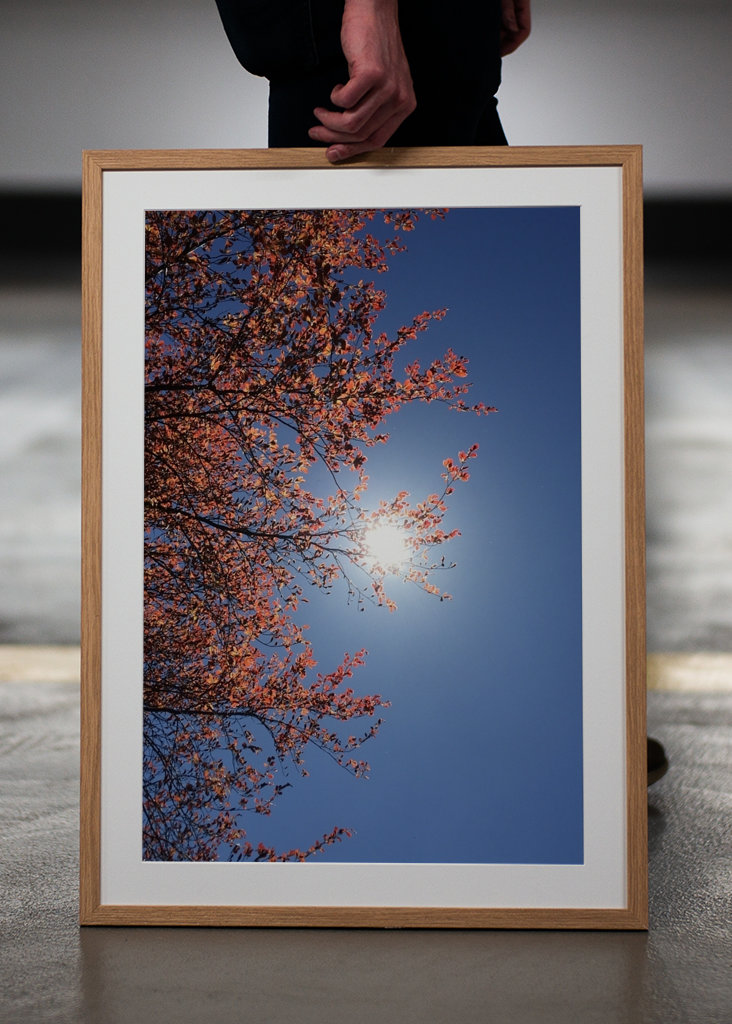 Sensommeren Sky Photography