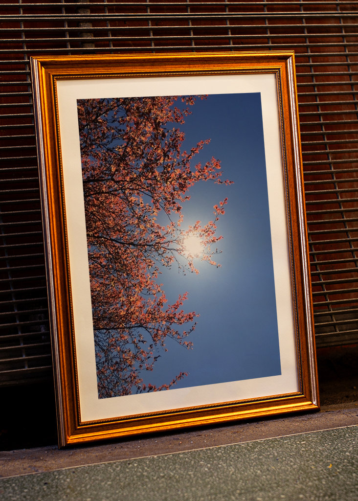 Sensommeren Sky Photography