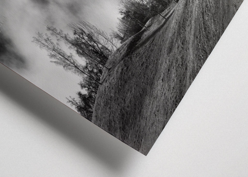 Mistig landschap in de Allgäu