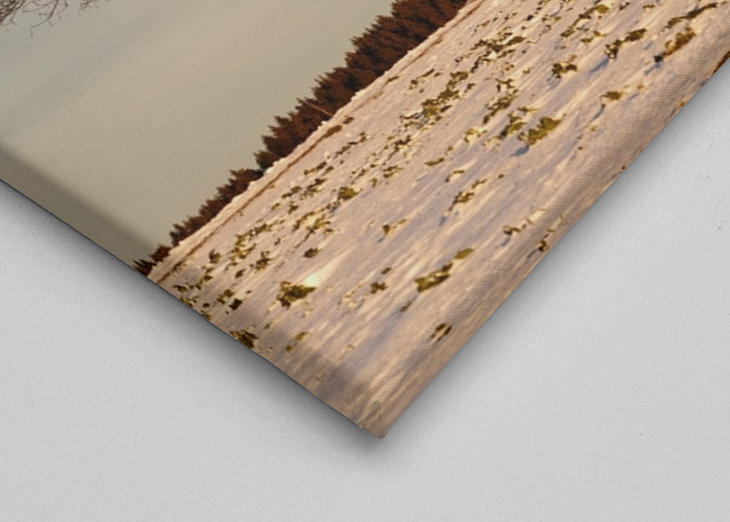 Evening light in winter