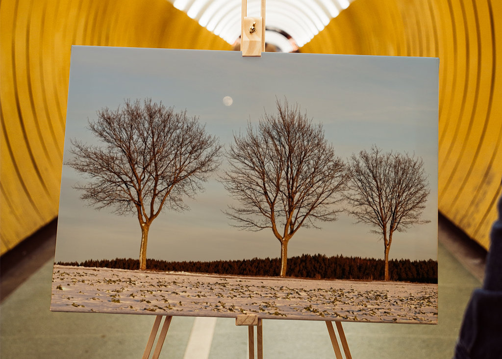 Evening light in winter