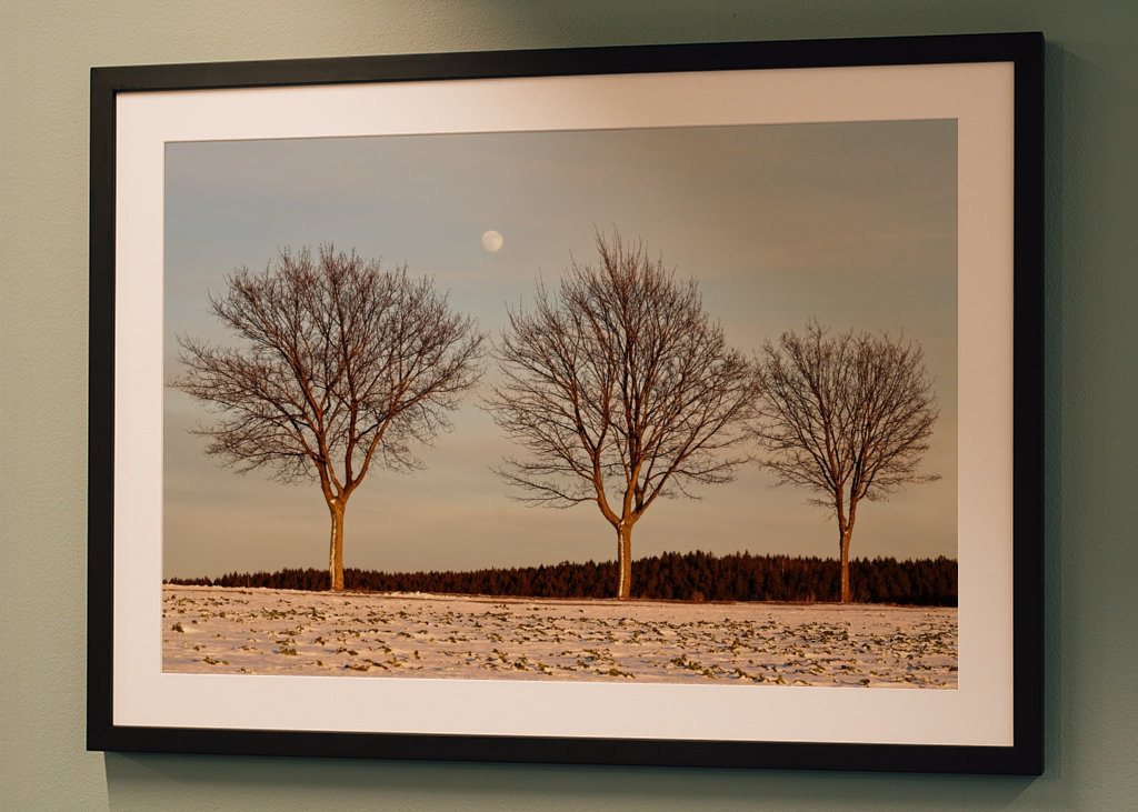 Evening light in winter