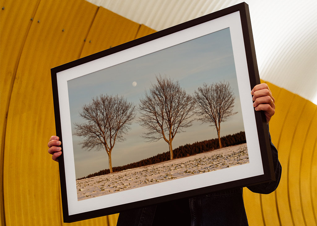 Evening light in winter