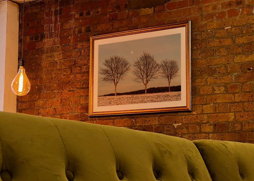 Evening light in winter