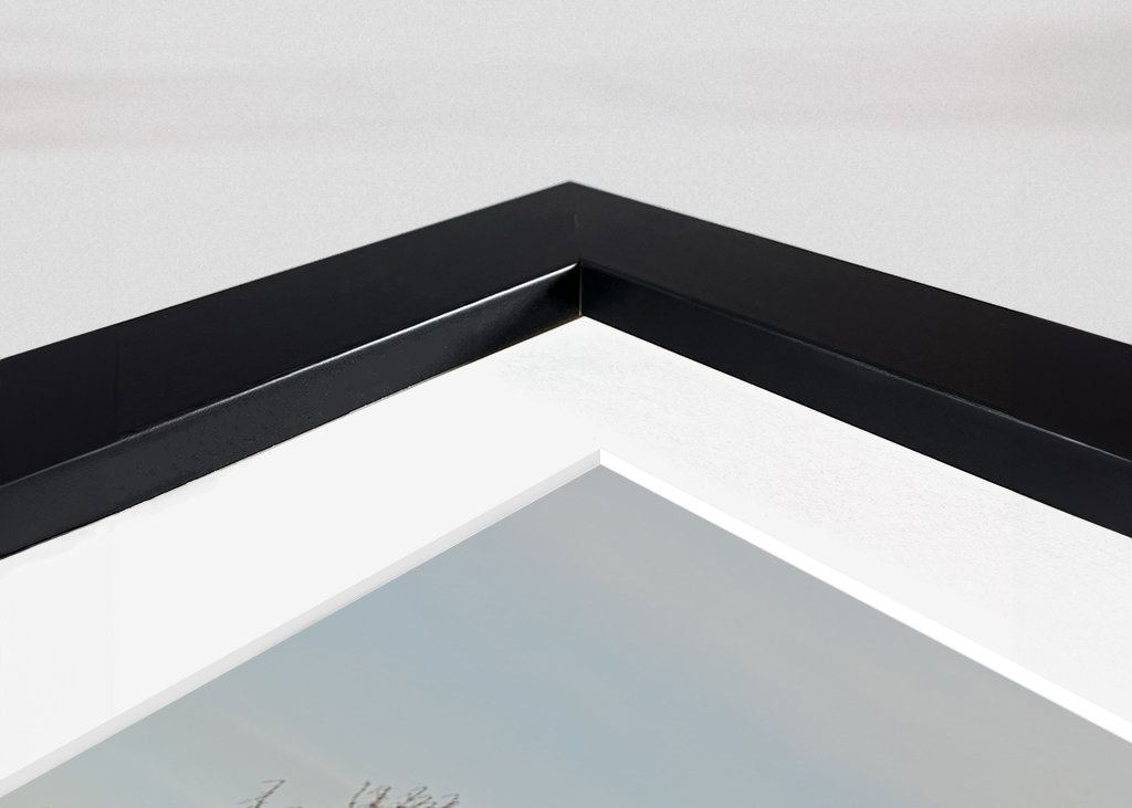 Evening light in winter