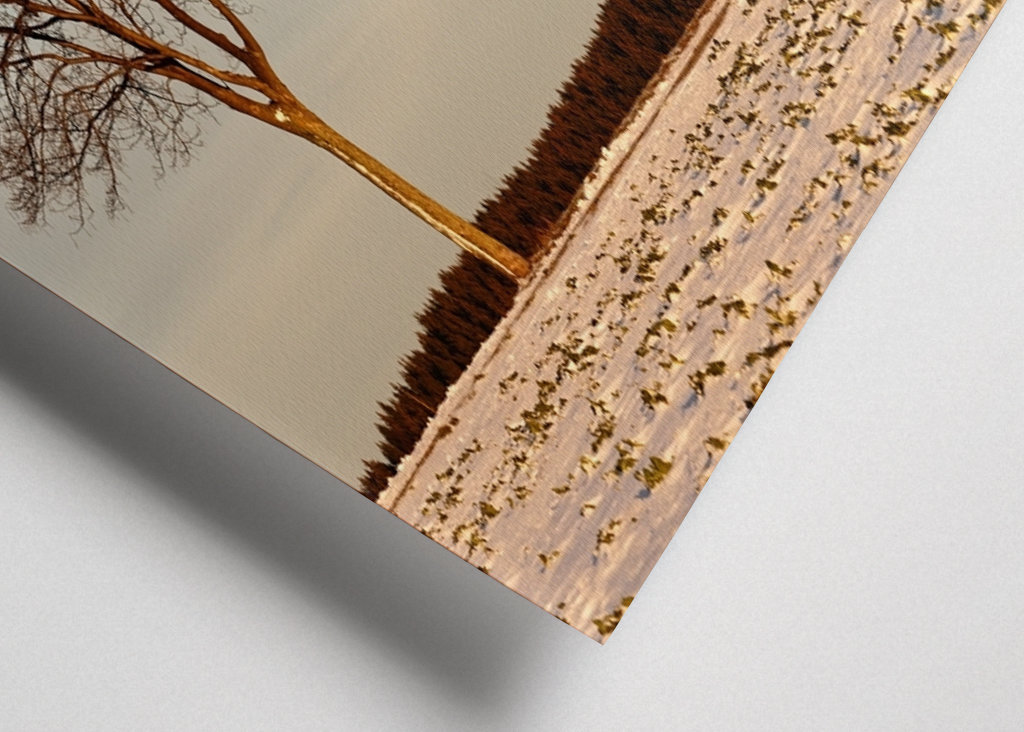 Evening light in winter