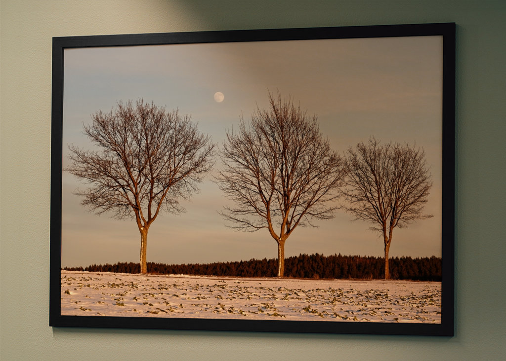 Evening light in winter