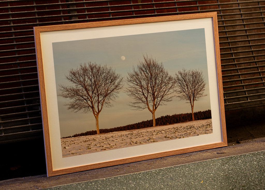 Evening light in winter
