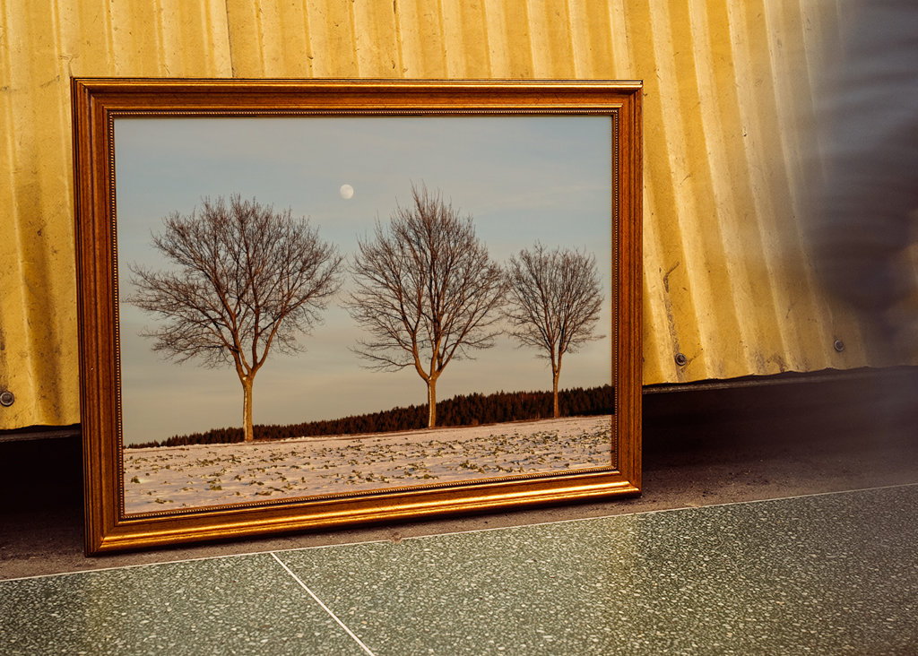 Evening light in winter