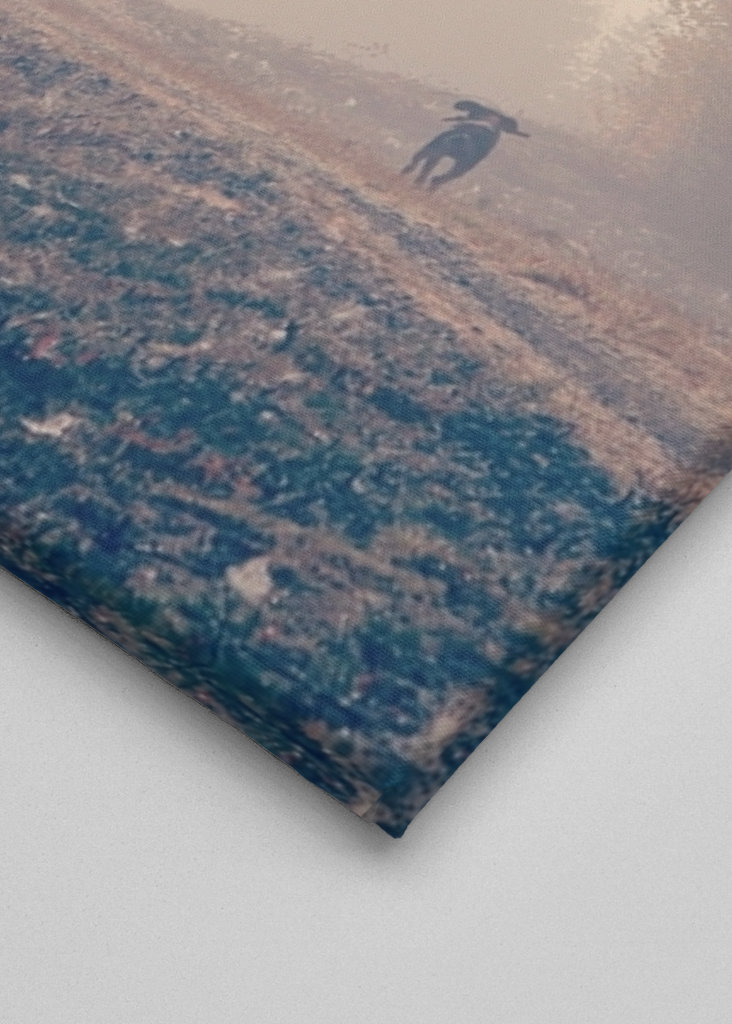 Stövarn & morgondimman