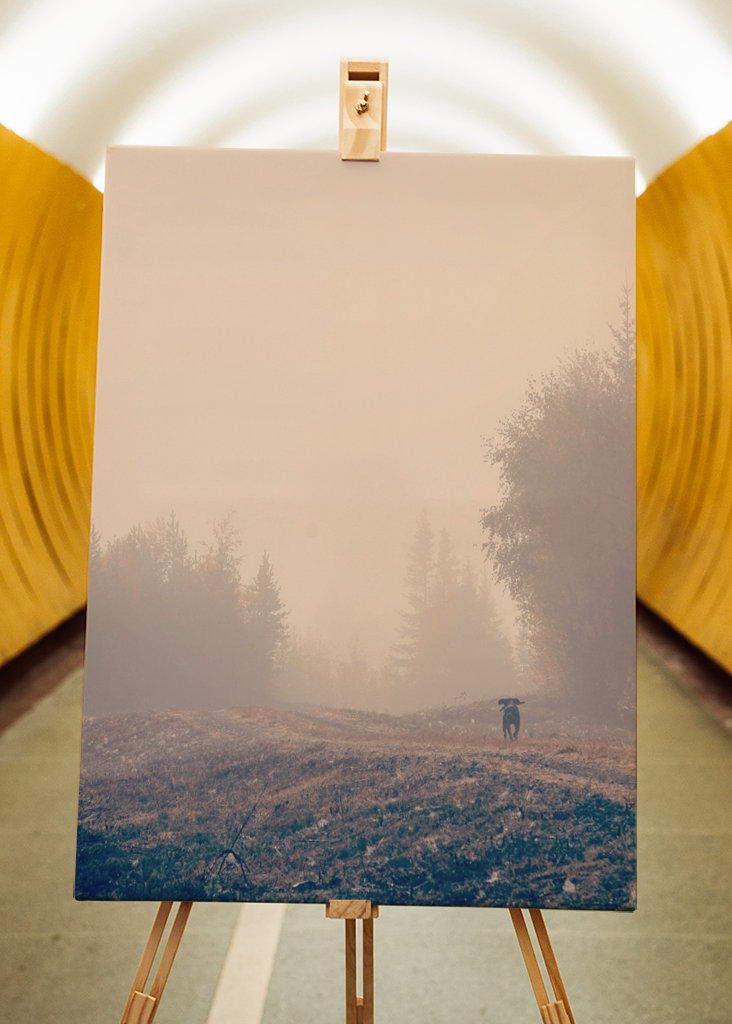 Stövarn & morgondimman