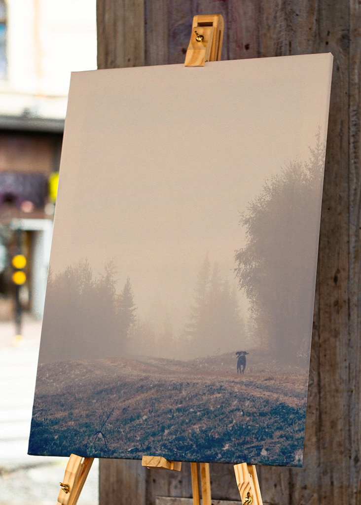 Stövarn & morgondimman