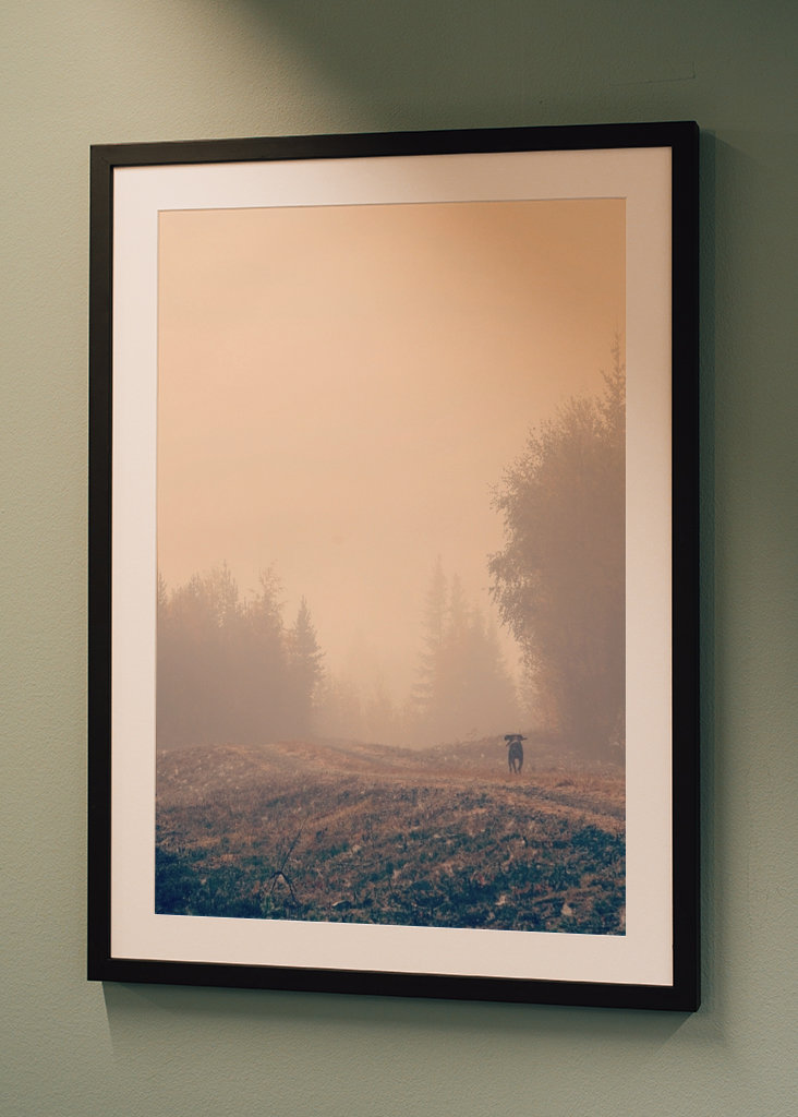 Stövarn & morgondimman