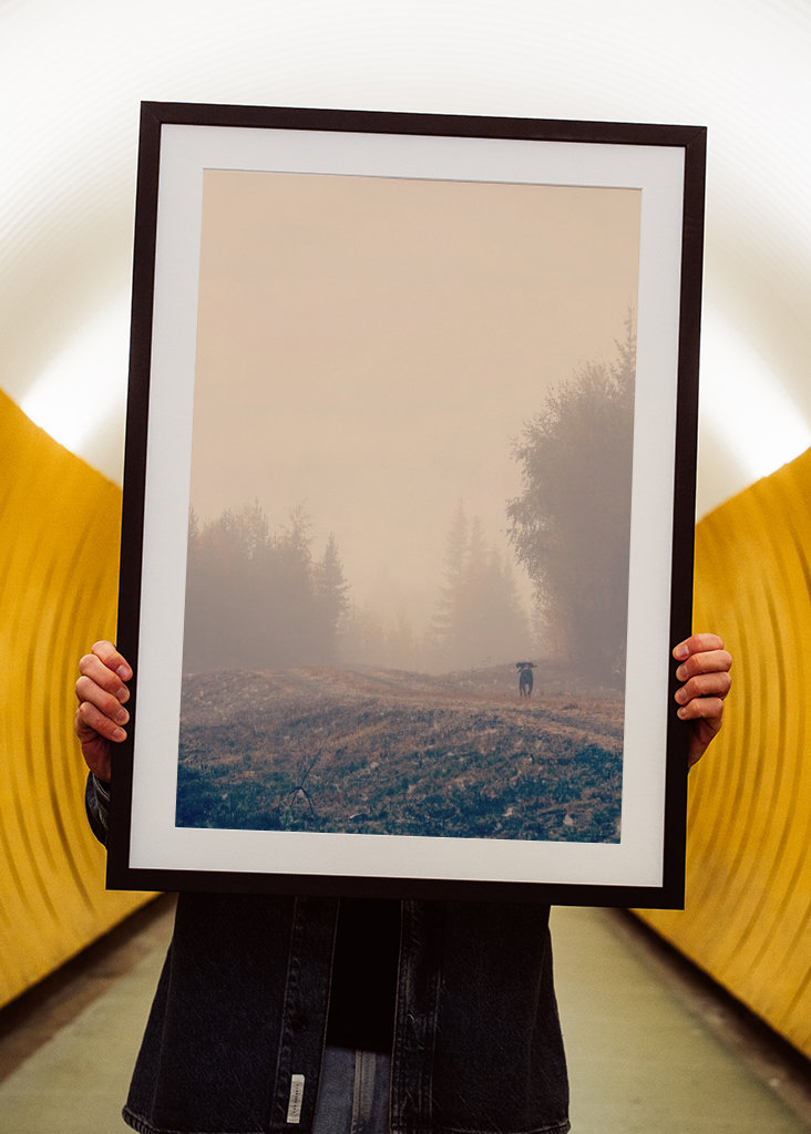 Stövarn & morgondimman