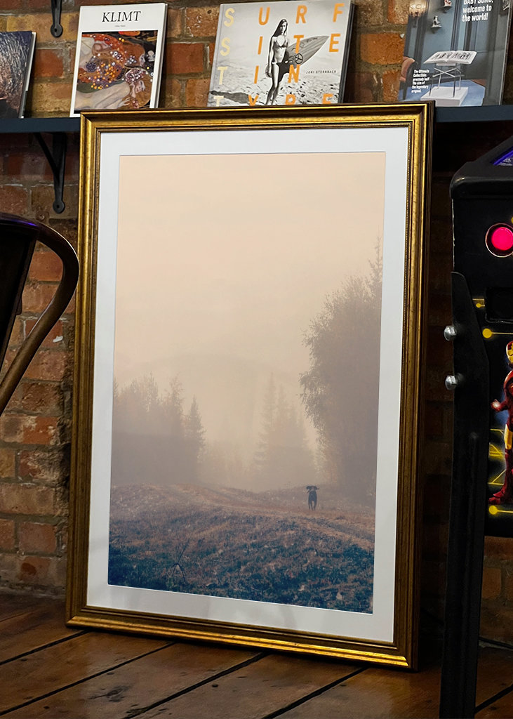 Stövarn & morgondimman