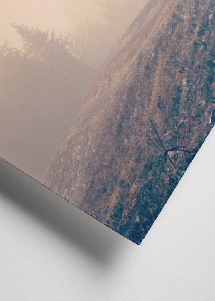 Stövarn & morgondimman