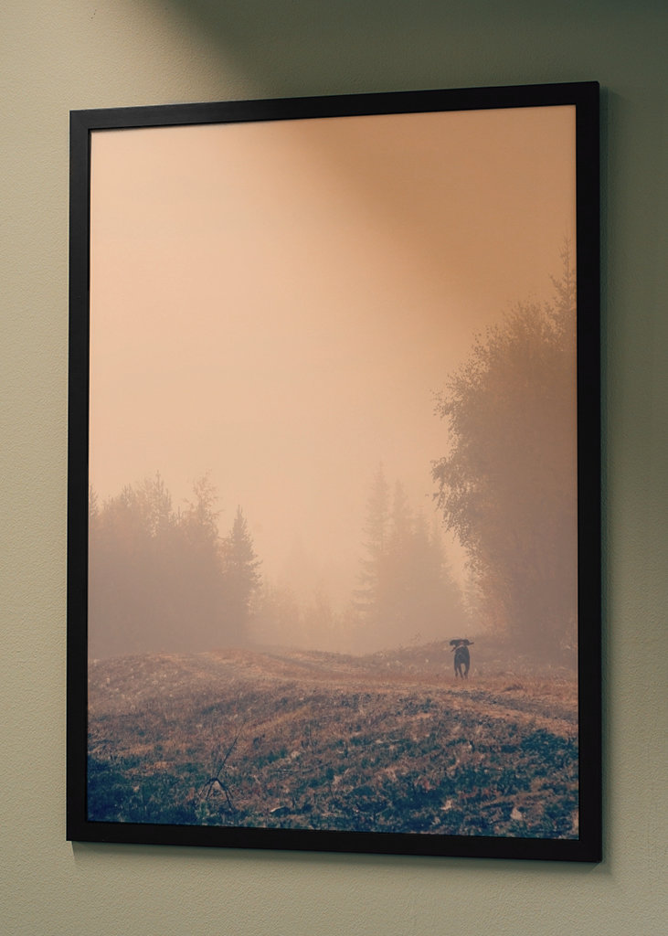 Stövarn & morgondimman