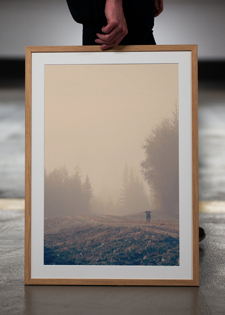 Stövarn & morgondimman