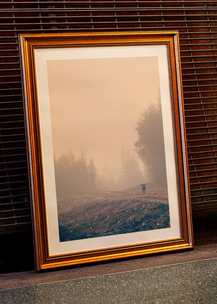 Stövarn & morgondimman