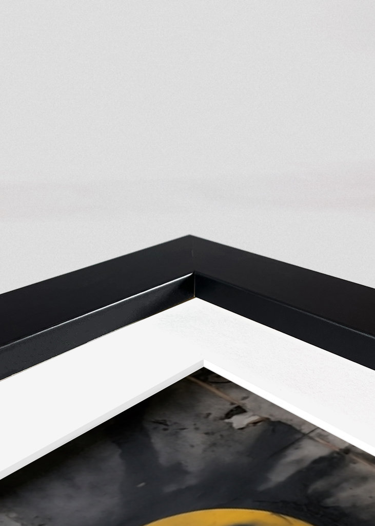 Očista Maus Grafitti