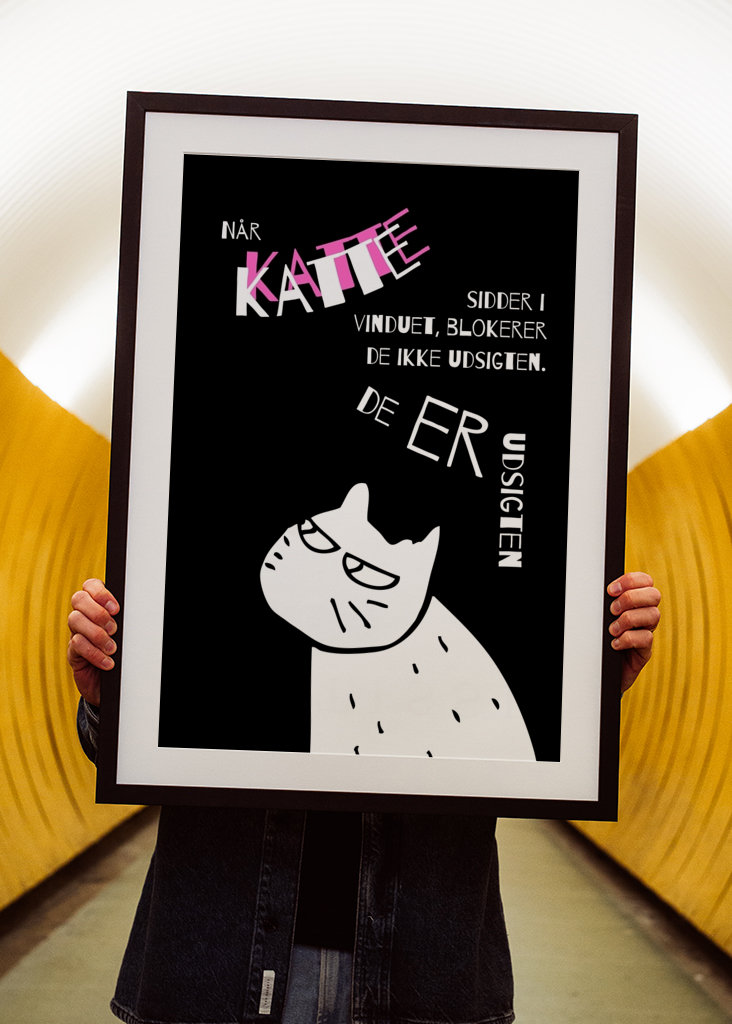 Confessions of a cat