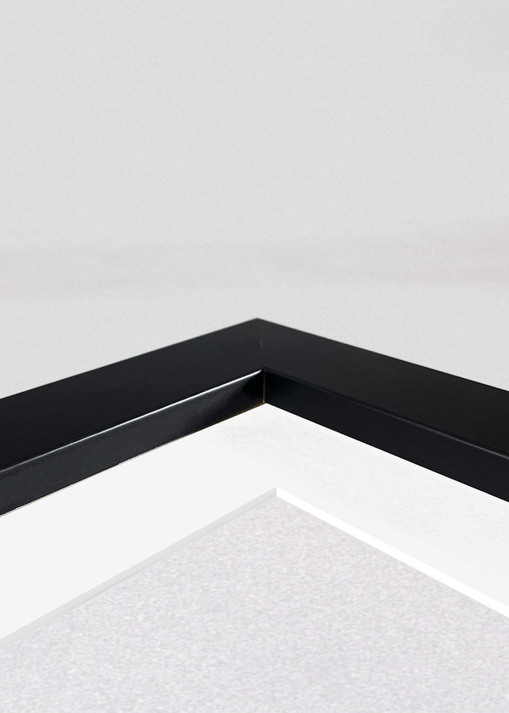 PORSCHE 911 KLASSIEK 